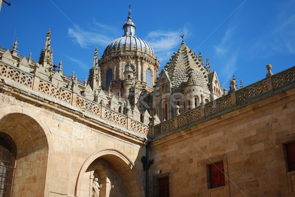 New Cathedral Dome in Salamanca, Spain Stock photo © luissantos84