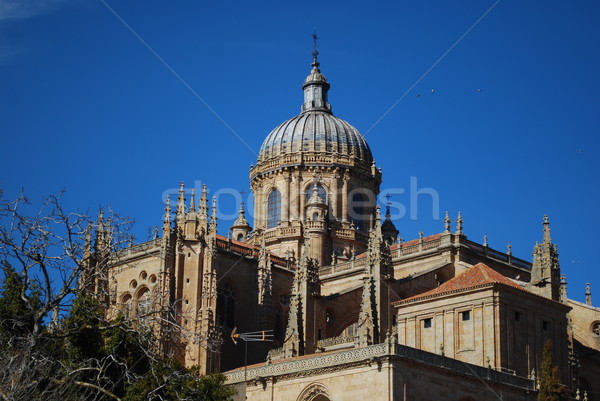 New Cathedral Dome in Salamanca, Spain Stock photo © luissantos84