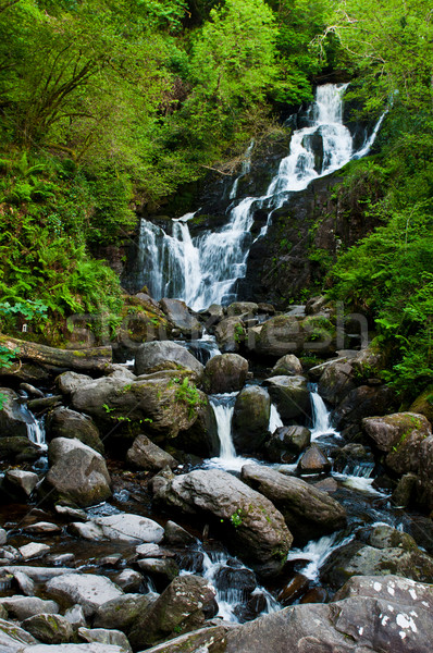 Torc waterfall Stock photo © luissantos84