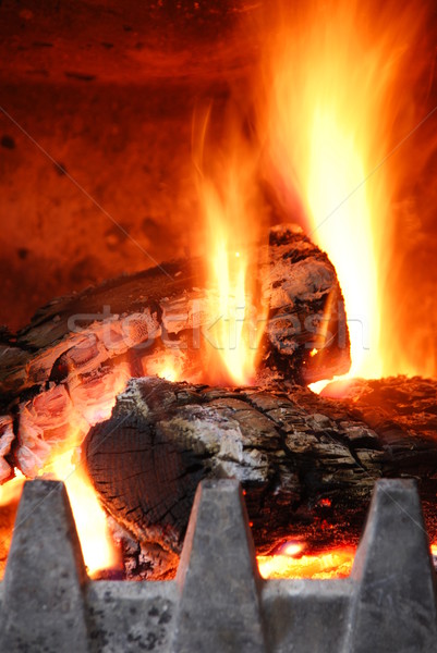 Cozy home fireplace Stock photo © luissantos84