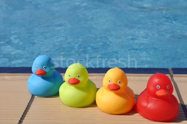 Rubber ducks Stock photo © luissantos84