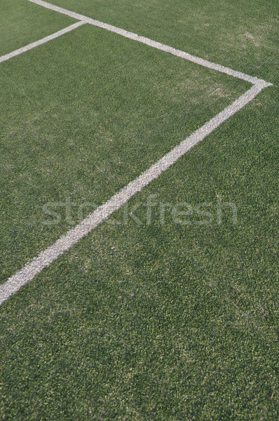 Campo da tennis bianco linee outdoor erba artificiale erba Foto d'archivio © luissantos84