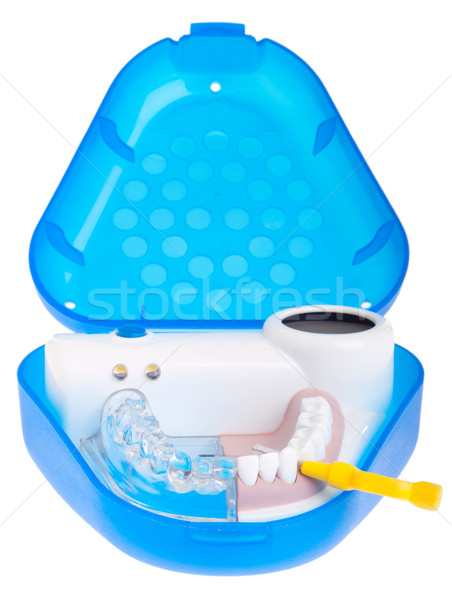Dental model Stock photo © luissantos84