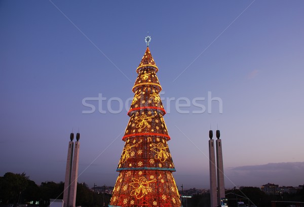 Belo alto árvore de natal Lisboa pôr do sol inverno Foto stock © luissantos84