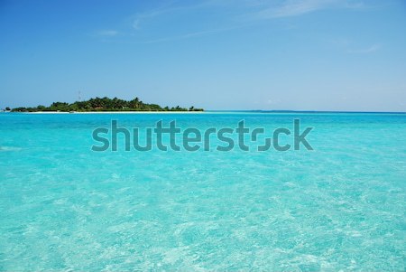 Stock fotó: Maldív-szigetek · sziget · káprázatos · türkiz · víz · gyönyörű