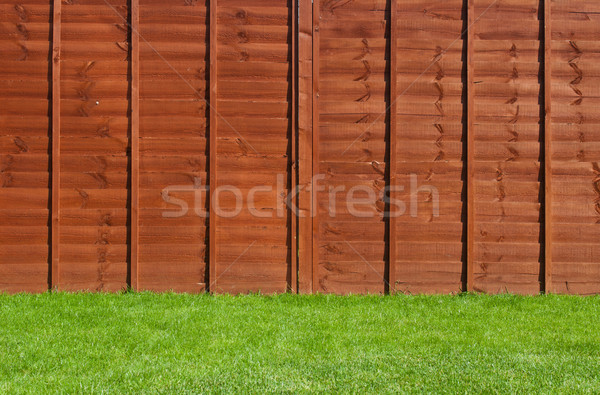 Backyard garden Stock photo © luissantos84