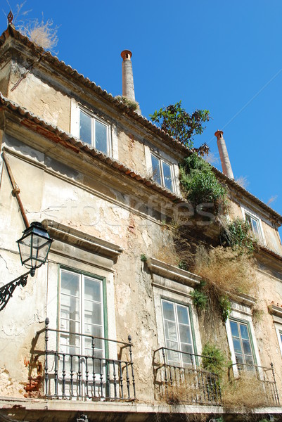 Damaged facade building with wild clinging plants Stock photo © luissantos84