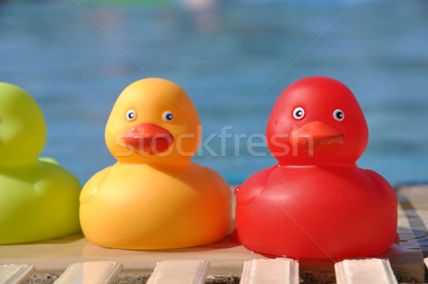 Rubber ducks Stock photo © luissantos84