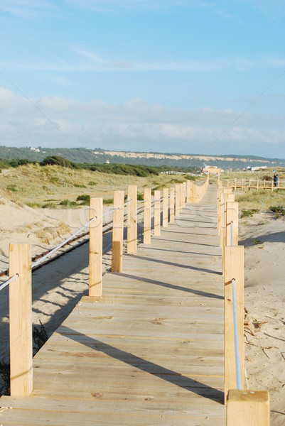 Boardwalk entering the beach Stock photo © luissantos84