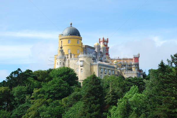 Colorful Palace of Pena landscape view in Sintra, Portugal. Stock photo © luissantos84
