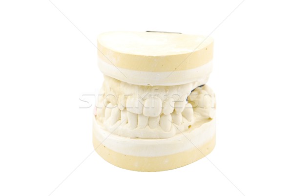 Dental prosthesis study model on white Stock photo © luissantos84