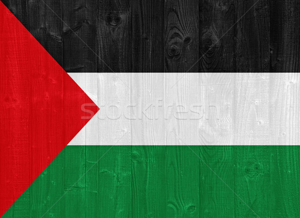 Palestine flag Stock photo © luissantos84