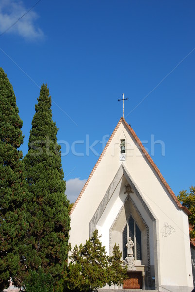 Kerk beroemd kwartaal Lissabon gebouw stad Stockfoto © luissantos84