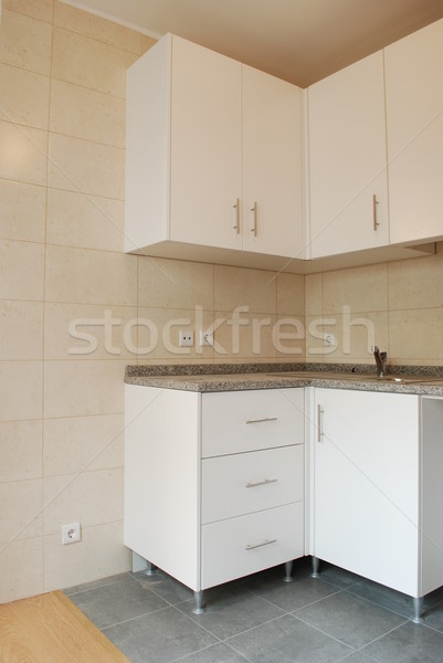 Modern apartment kitchen Stock photo © luissantos84