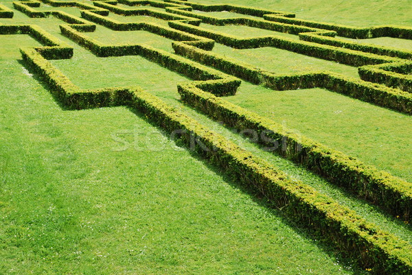 Green Cuted Bushes Stock Photo C Luis Santos Luissantos84 Stockfresh