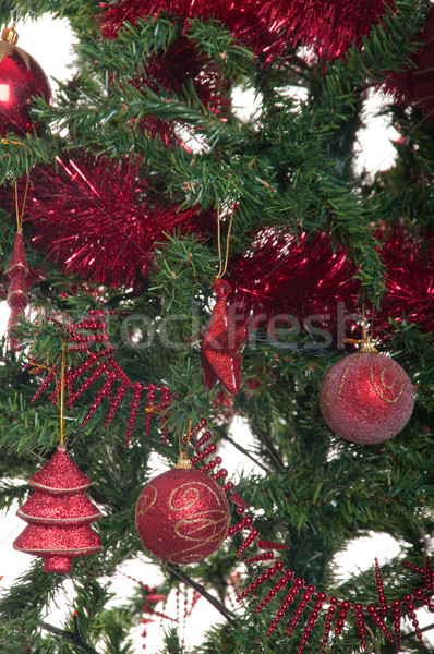 Stock photo: Christmas tree background