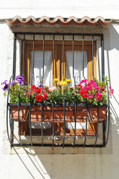Typowy okno balkon kwiaty Lizbona piękna Zdjęcia stock © luissantos84