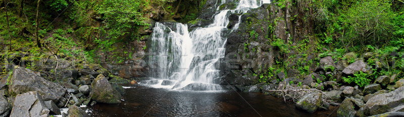 Torc waterfall Stock photo © luissantos84