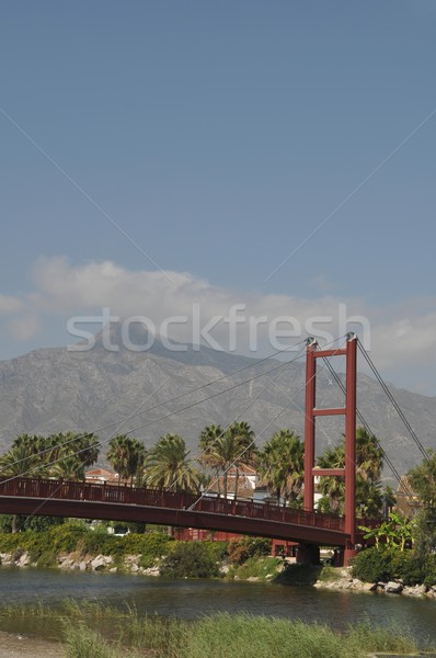 Puerto Banus bridge Stock photo © luissantos84