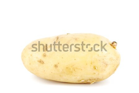 Unpeeled yellow potato on white Stock photo © luissantos84
