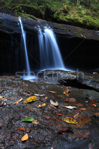 waterfall Stock photo © lukchai