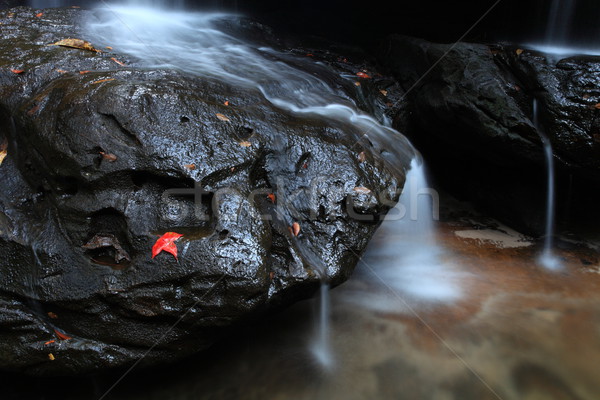waterfall Stock photo © lukchai