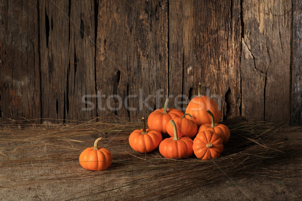 pumpkin Stock photo © lukchai