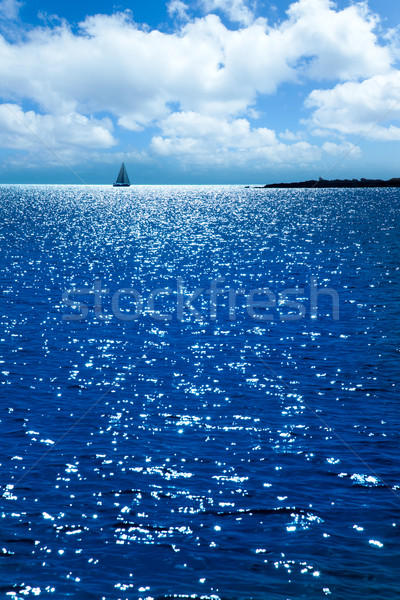 Formentera sunset in Espalmador s alga beach Stock photo © lunamarina