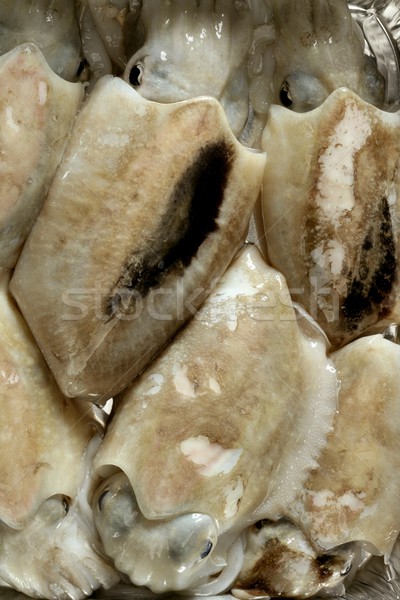 Cuttlefish uncooked, Squid Mediterranean seafood Stock photo © lunamarina
