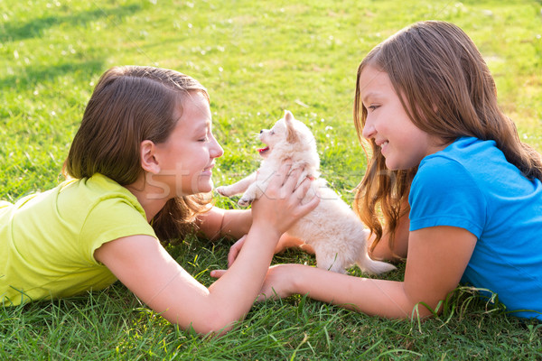 twin sister kid girls and puppy dog lying in lawn Stock photo © lunamarina