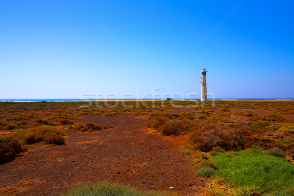 Morro Jable Matorral wetland Jandia in Pajara Stock photo © lunamarina