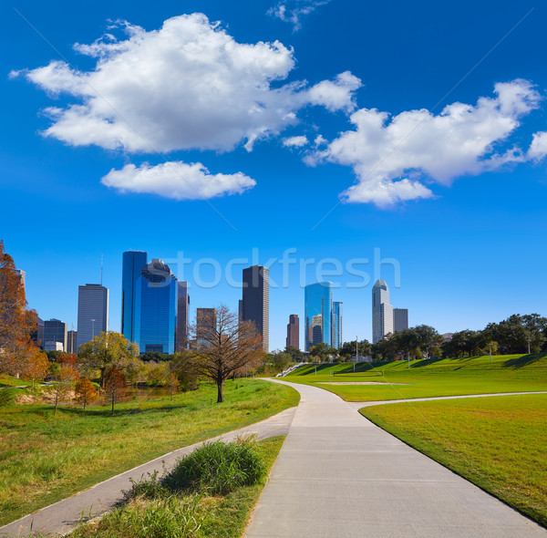 Houston panoramę parku trawy Texas Zdjęcia stock © lunamarina