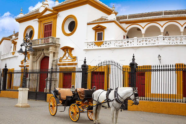 Seville Real Maestranza bullring plaza toros Stock photo © lunamarina