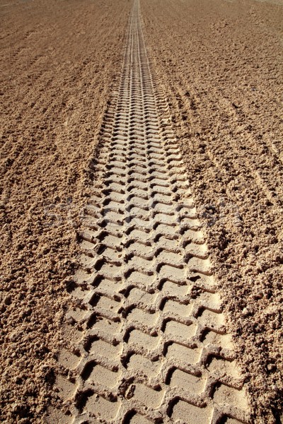 beach sand tyres footprint perspective to infinite Stock photo © lunamarina