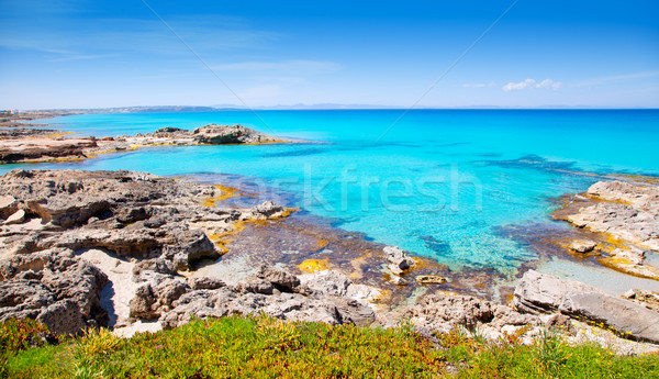 Balearic formentera island in escalo rocky beach Stock photo © lunamarina