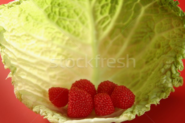  sweets in a shell shape cabbage green leaf Stock photo © lunamarina