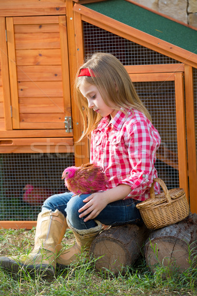 breeder hens kid girl rancher farmer with chicks in chicken coop Stock photo © lunamarina
