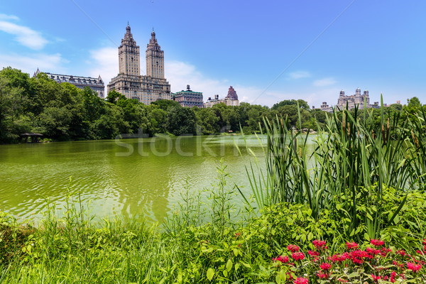 Central Park jezioro Manhattan Nowy Jork niebo miasta Zdjęcia stock © lunamarina