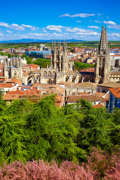 Burgos aerial view skyline with Cathedral in Spain Stock photo © lunamarina