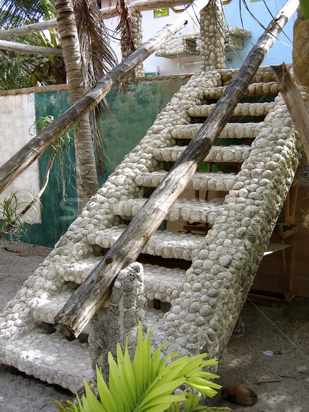 stairway buit with brain coral in caribbean Stock photo © lunamarina