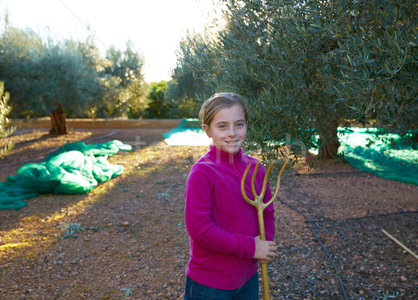 Zeytin hasat çiftçi çocuk kız Stok fotoğraf © lunamarina