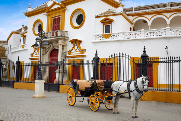 Stock photo: Seville Real Maestranza bullring plaza toros