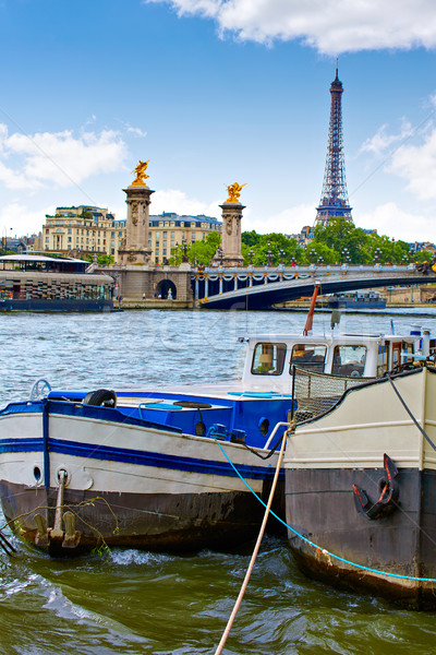 Pont Alexandre III in Paris France over Seine Stock photo © lunamarina