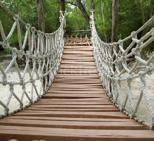 冒險 木 繩 叢林 吊橋 熱帶雨林 商業照片 © lunamarina