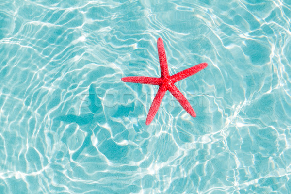 floating red starfish in turquoise sand beach Stock photo © lunamarina