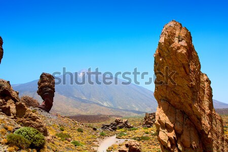 Teide National Park Roques de Garcia in Tenerife Stock photo © lunamarina