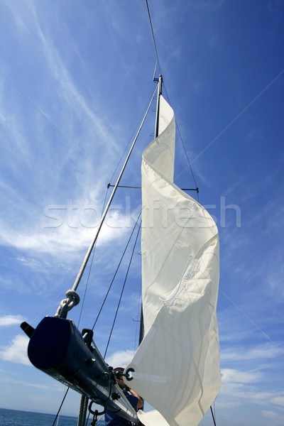 Sailor in sailboat rigging the sails Stock photo © lunamarina