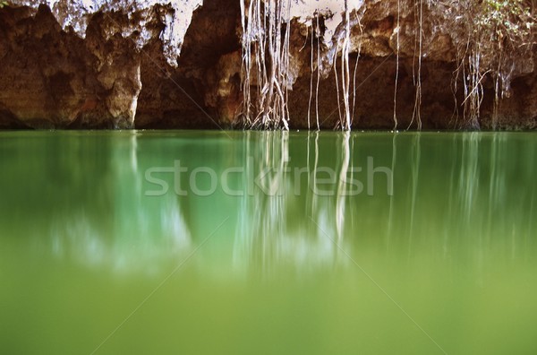 cenote Riviera Maya jungle mayan Quintana Roo Stock photo © lunamarina