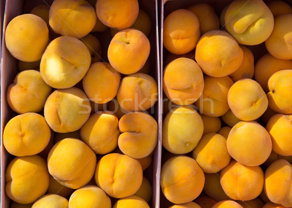 Calanda peaches rainfed from Teruel Spain Stock photo © lunamarina