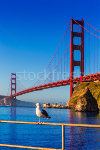 San Francisco Golden Gate Bridge seagull California Stock photo © lunamarina